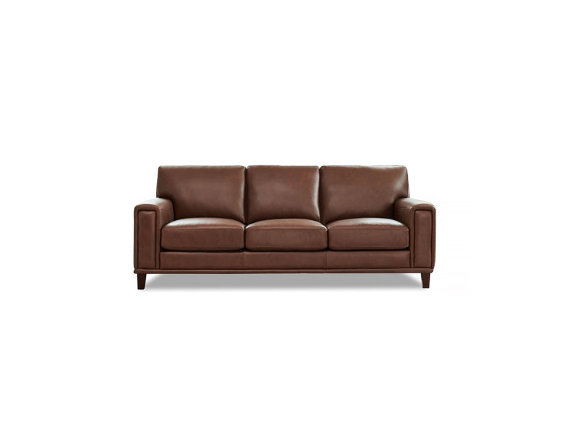 Hayward Leather Sofa Collection